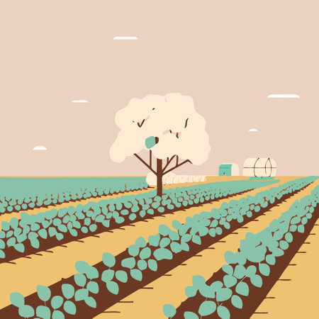 Cotton cultivation in agricultural production farm plant already giving cottonのイラスト素材
