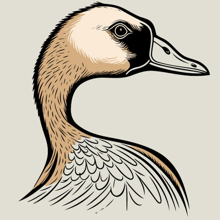 Vector illustration of animal head goose a waterfowl bird species of the family Anatidaeのイラスト素材