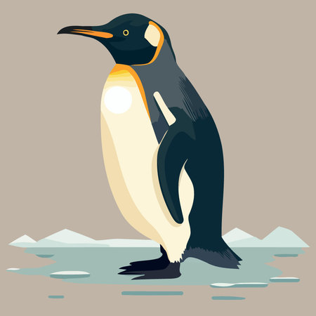 animal bird common blue penguin Minimalist vector illustrationのイラスト素材