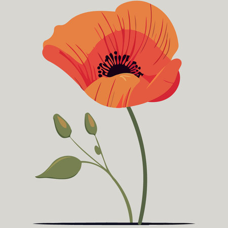 One red poppy flower minimalist vector illustrationのイラスト素材