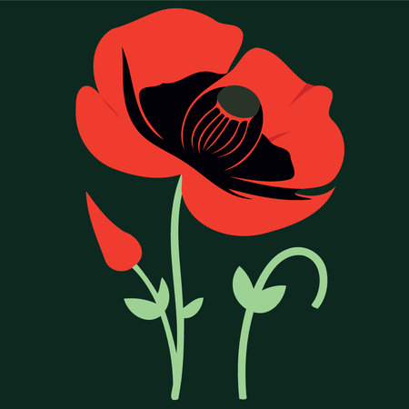 One red poppy flower minimalist vector illustrationのイラスト素材