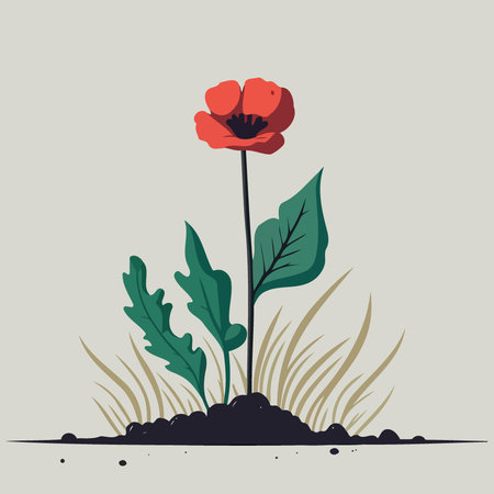 One red poppy flower minimalist vector illustrationのイラスト素材