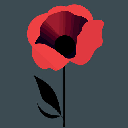 One red poppy flower minimalist vector illustrationのイラスト素材