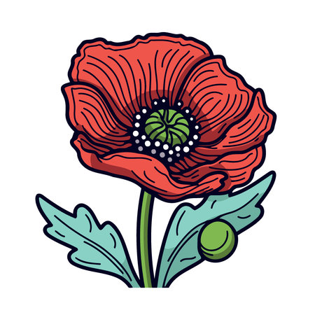 One red poppy flower minimalist vector illustrationのイラスト素材