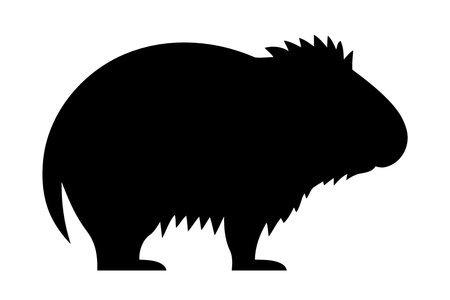 animal mammal capybara body in black and white minimalistic vector illustrationのイラスト素材