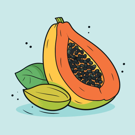 papaya fruit cut in half minimalist vector illustrationのイラスト素材