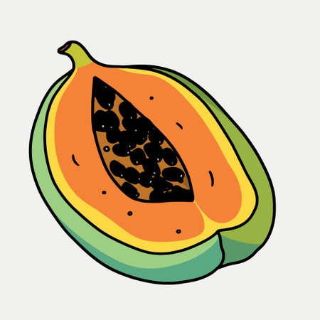 papaya fruit cut in half minimalist vector illustrationのイラスト素材