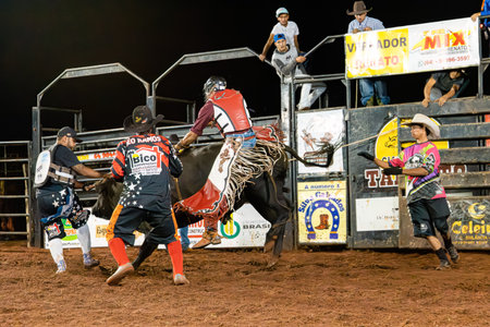 Itaja, Goias, Brazil - 04 22 2023: cowboy man riding a bull practicing bull riding at a rodeo
