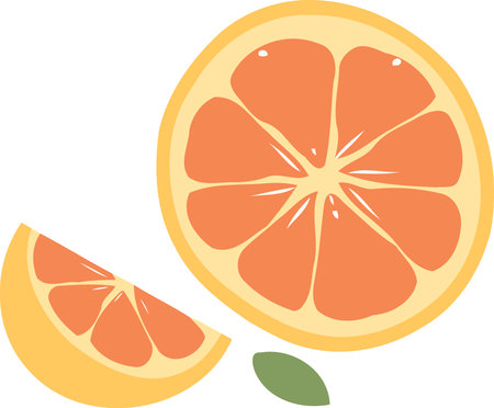 sliced orange citrus fruit minimalist vector illustrationのイラスト素材