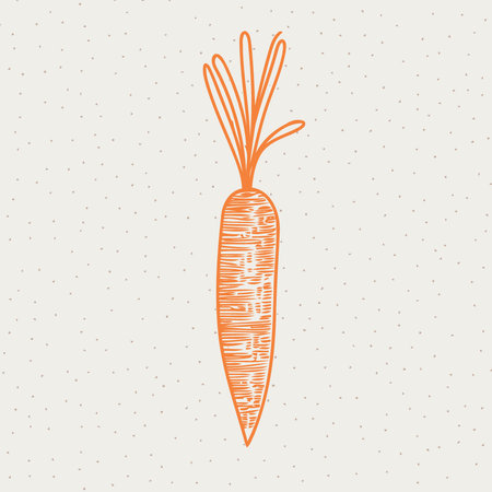 vegetable food a carrot minimalist vector illustrationのイラスト素材