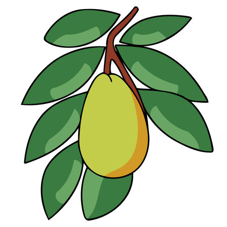 mango fruit with leaves minimalist vector illustrationのイラスト素材