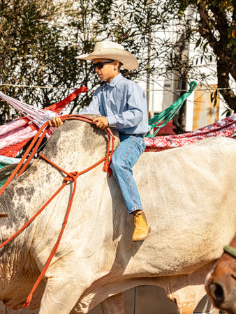 Apore, Goias, Brazil - 05 07 2023: Horseback riding event open to the public on public roads in the Brazilian city of Aporeのeditorial素材