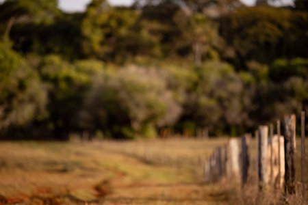 closeup blurred background of farm forest field and fenceの写真素材
