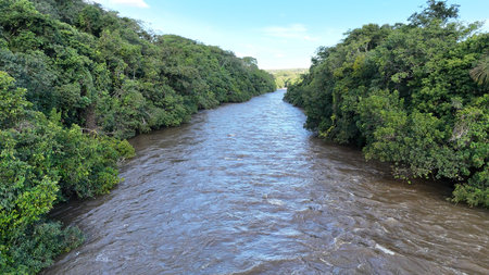 Aerial image of the apore river with brown water and riparian forest during the day