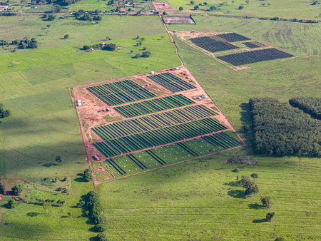 Cassilandia, Mato Grosso do Sul, Brazil - 04 18 2024: aerial image of solar energy plant in rural areaのeditorial素材