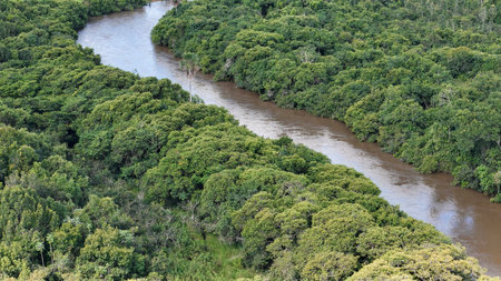 Aerial image of the apore river with brown water and riparian forest during the dayの写真素材