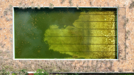 close up of abandoned swimming pool with green dirty water
