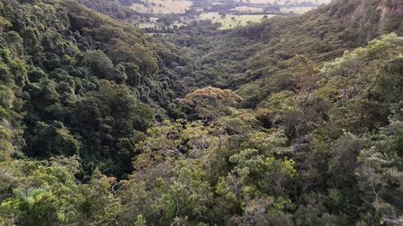 Cassilandia, Mato Grosso do Sul, Brazil - 04/05/2024. Drone aerial view of dense tropical forest...