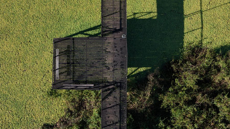 Top view aerial photograph of a wooden boardwalk crossing lagoon water covered by floating aquatic plants.の写真素材