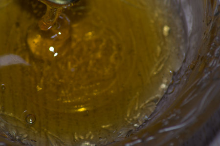 Honey bee breakfast cell drink nature dessertの写真素材