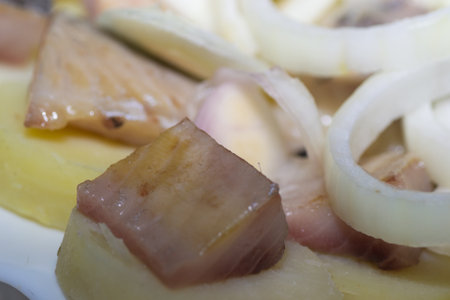 prepared gourmet fish food onion vegetable mealの写真素材
