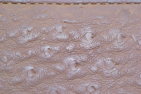 Part leather brown fashion close-up oldの写真素材