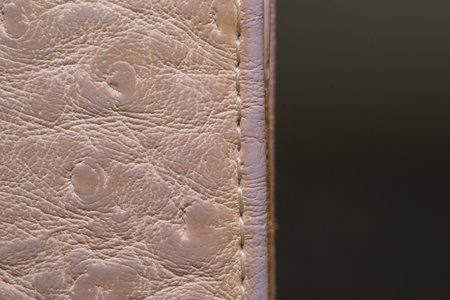 part leather backgrounds brown fashion close-up oldの写真素材