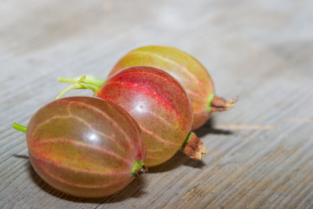 gooseberry food drink fruit fruits vegetables freshnessの写真素材