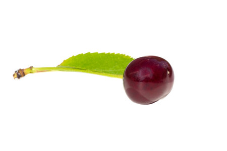 isolated red cherry fruit food ripe berry white drinkの写真素材