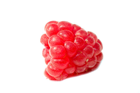 fruits berry white raspberry food freshness isolated ripe