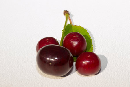 isolated red cherry fruit food ripe berry white drinkの写真素材
