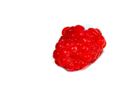 fruits berry white raspberry food freshness isolated ripe
