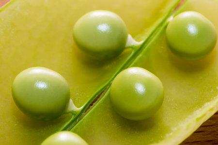 green pea color vegetable people,image food  ripeの写真素材