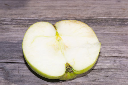 isolated white red healthy color apple fruit backgroundの写真素材