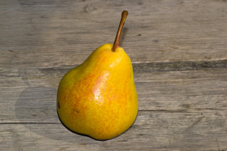 pear food white fruit on color background eatingの写真素材