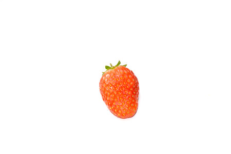 strawberries collected from the garden of nutritious and delicious on a white backgroundの写真素材