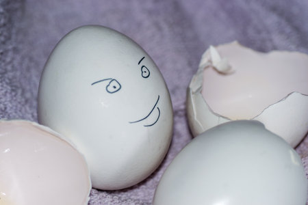 human face eggs fun smiling concepts ideas white