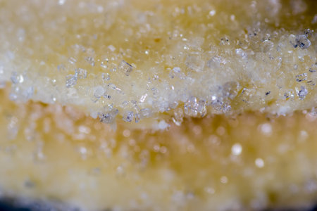 to make sweet biscuits with sugar plan shot at homeの写真素材