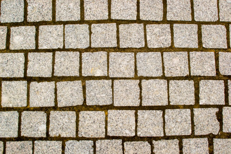 a stone path and big on the streetの写真素材