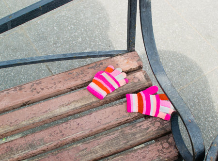 gloves on the bench shot a beautiful dayの写真素材