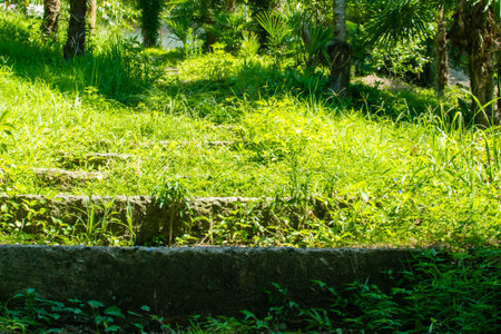 old staircase steps light no natural building peopleの写真素材