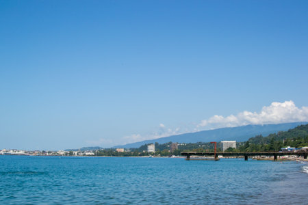 the vegetation of the sea coast sun summer bright colorsの写真素材