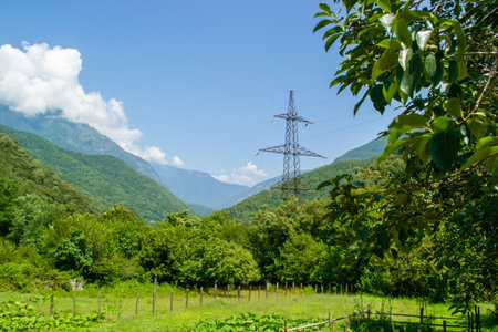 mountain forest landscape mountains summer nature sky