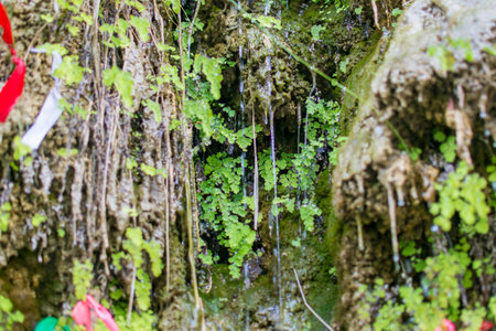 waterfall water nature falling river flowing outdoorsの写真素材