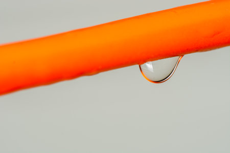 dew on the wire this morning after the rainの写真素材