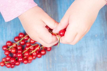 red currants on a wooden background in a hands around all summer bloomsの写真素材
