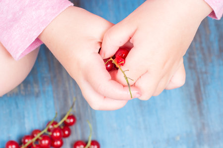 red currants on a wooden background in a hands around all summer bloomsの写真素材
