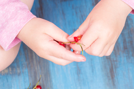 red currants on a wooden background in a hands around all summer bloomsの写真素材