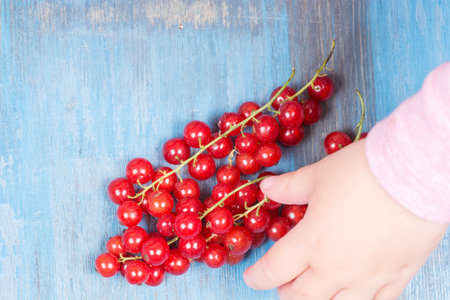 red currants on a wooden background in a hands around all summer bloomsの写真素材