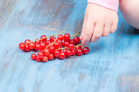 red currants on a wooden background in a hands around all summer bloomsの写真素材